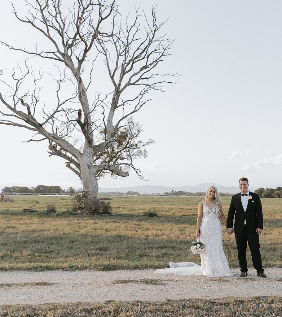 Wedding couple holding hands beside a large old tree.
